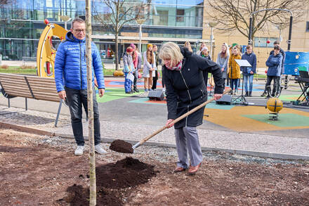 Vedoucí hospice, Jitka Pichová, při sázení stromů pro Olgu Havlovou
